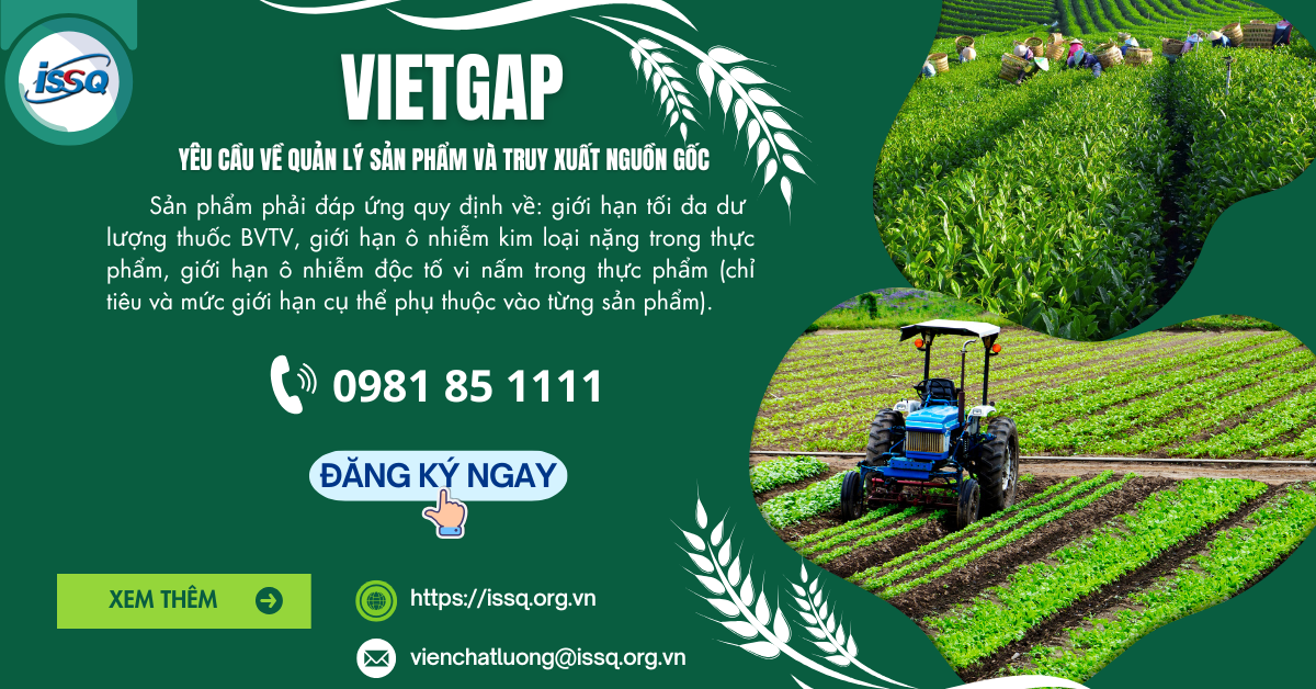 Tiêu chuẩn VietGAP đảm bảo chất lượng sản phẩm, nâng cao uy tín doanh nghiệp